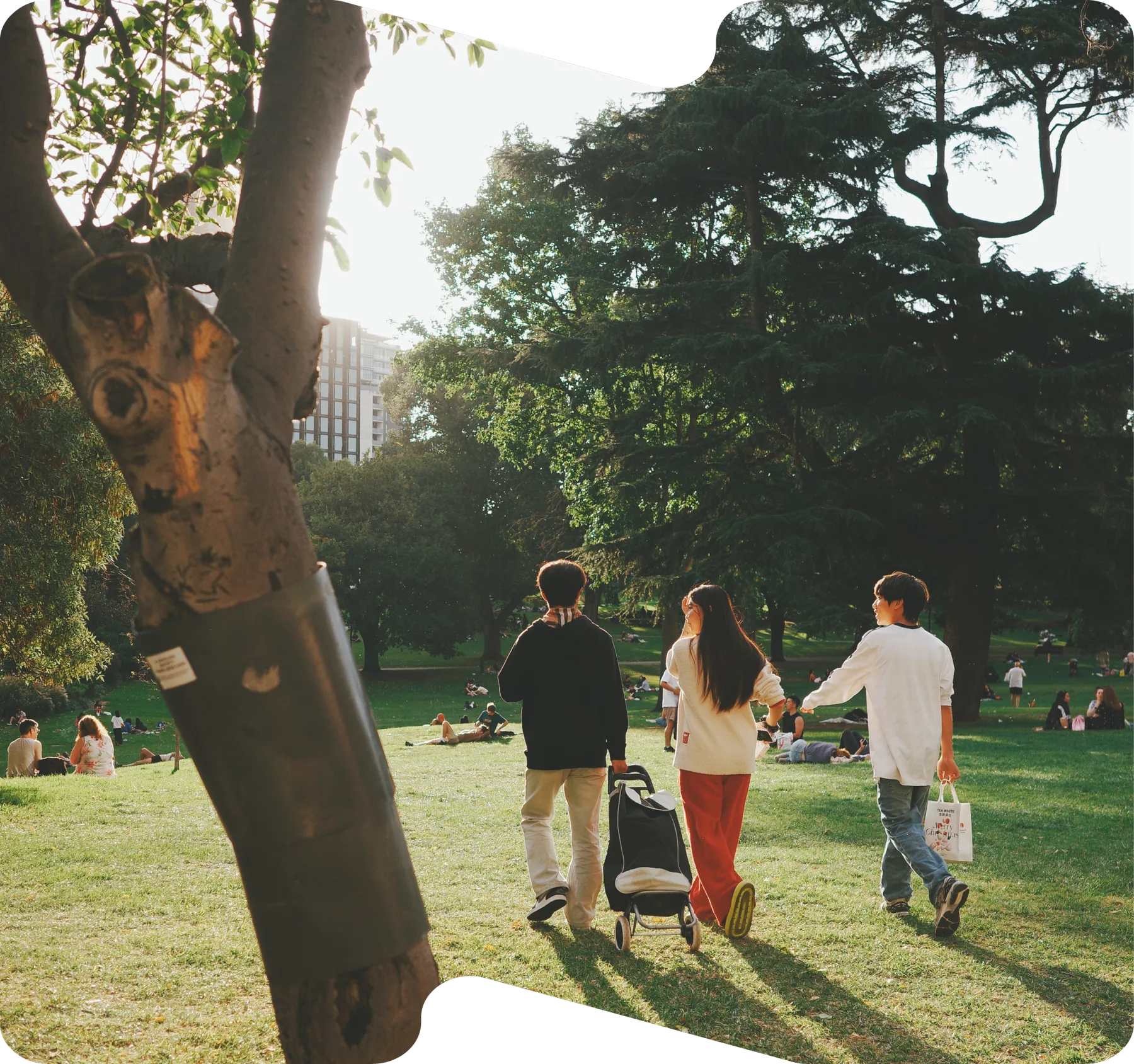 A group of friends walking together through a sunny park